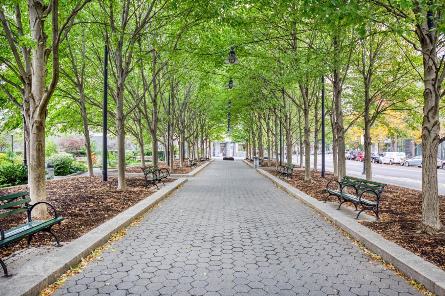 Modern Fidi 1Br W Roofdeck Gym Doorman Nyc-443 Apartment New York Bagian luar foto